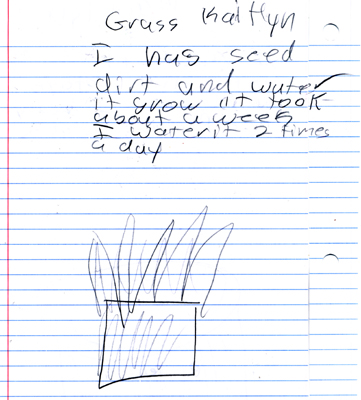 I has seed dirt and water